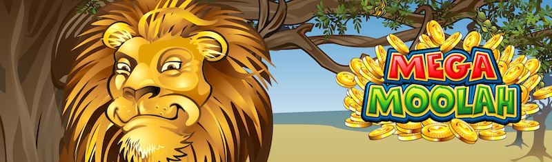 screenshot of the slot game at jeetwin Casino